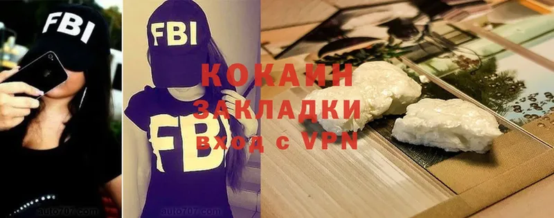 Cocaine FishScale  закладки  Калуга 