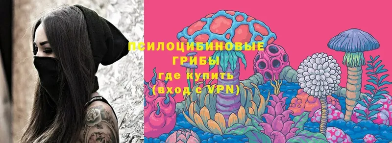 Галлюциногенные грибы Magic Shrooms  kraken ТОР  Калуга 